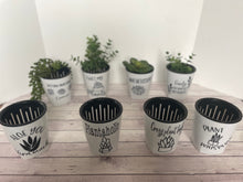 Load image into Gallery viewer, Self watering planter - Plant Whisperer