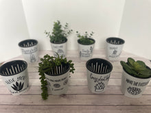 Load image into Gallery viewer, Self watering planter - Plantaholic