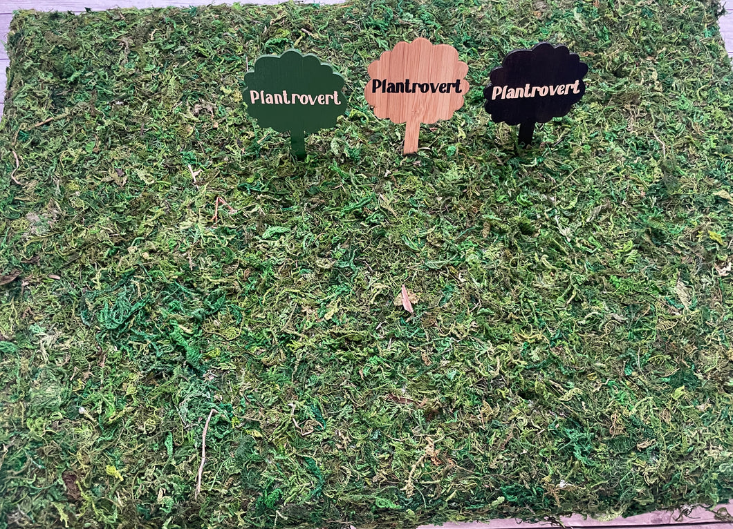 Plant Pick - Plantrovert