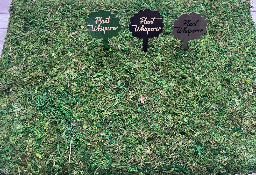 Plant Pick - Plant Whisperer