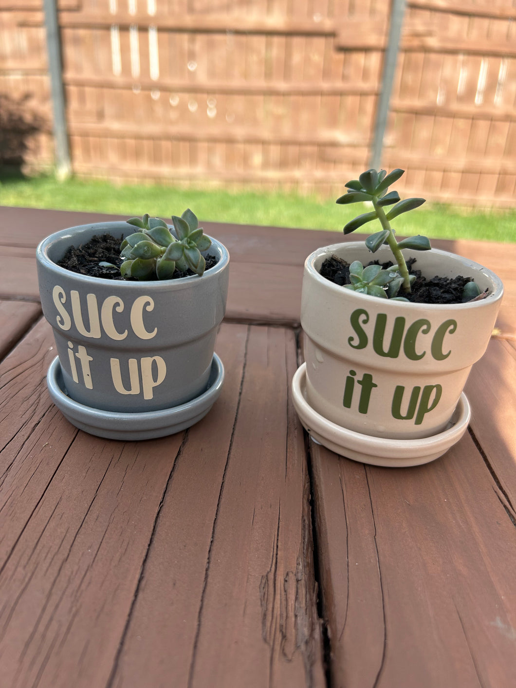 Ceramic Pot - Succ it up