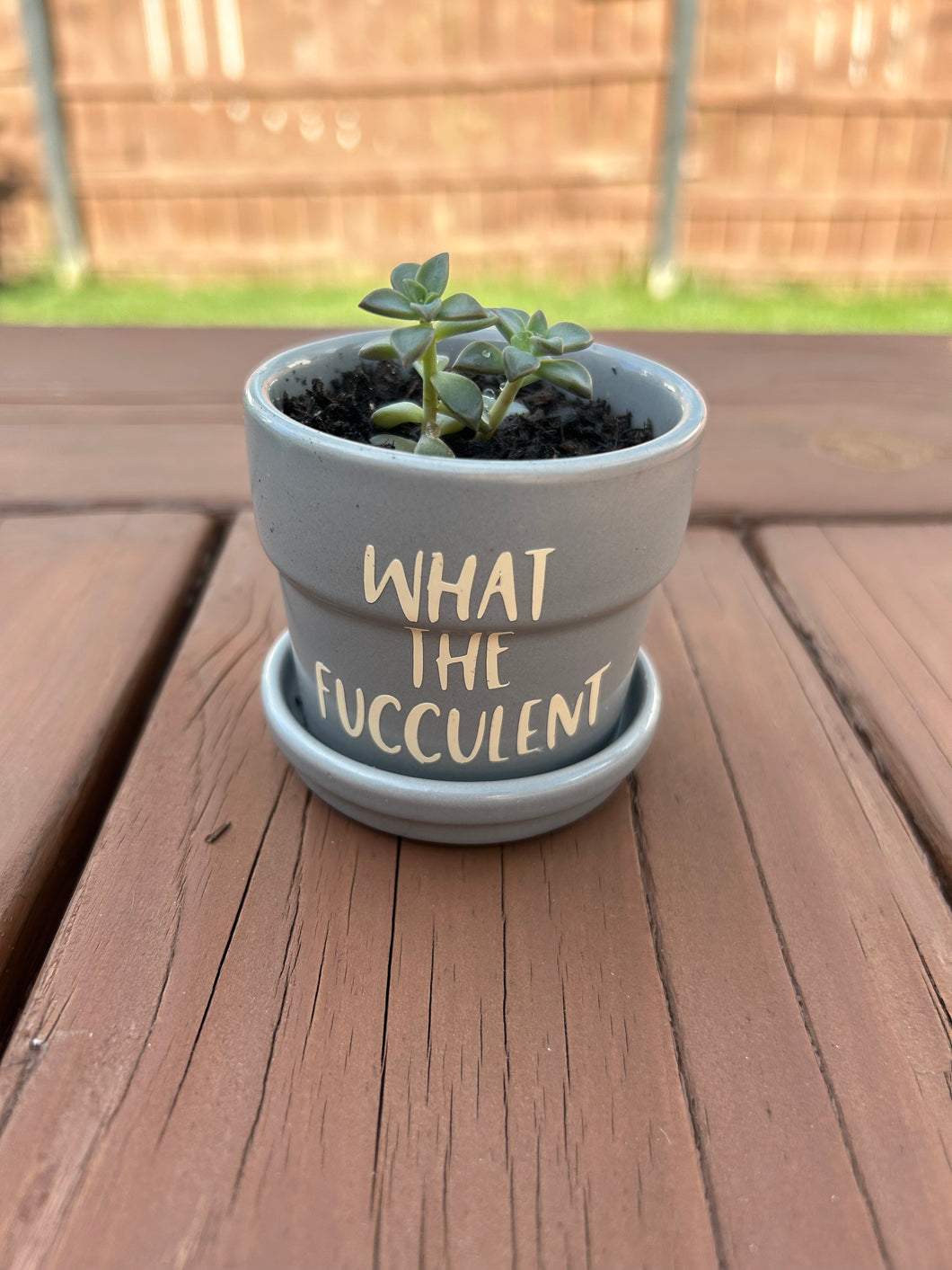 Ceramic Pot - What the fucculent